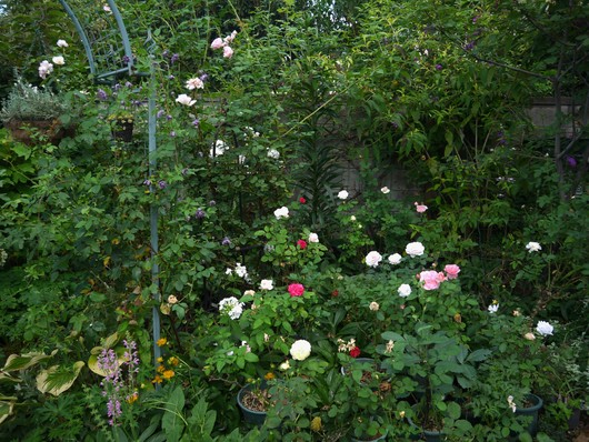 e0205713_225933.jpg