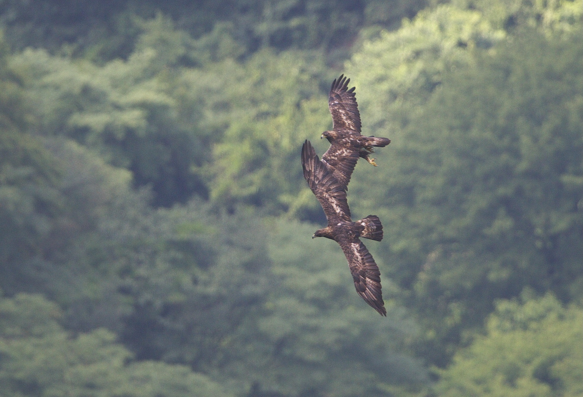 f0288418_644386.jpg