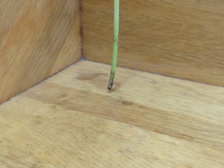 e0171821_11382750.jpg