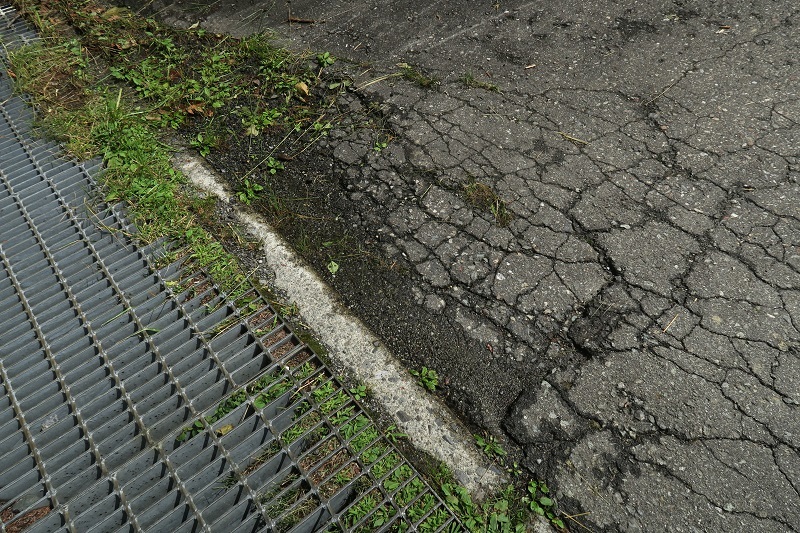 S207のダンプマチックを高原で試す_f0076731_11260197.jpg