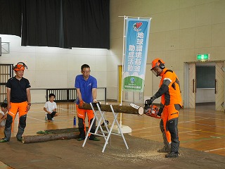 出張林業教室@葵小学校_d0180132_17254027.jpg