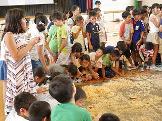 出張林業教室@葵小学校_d0180132_17261971.jpg