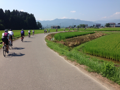 f0279343_12201471.jpg