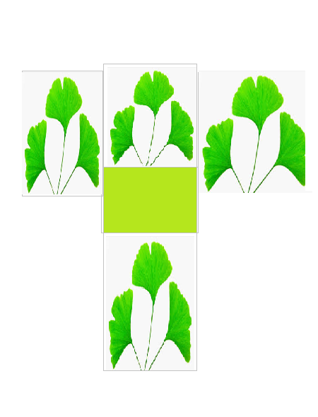 f0073848_2133523.png