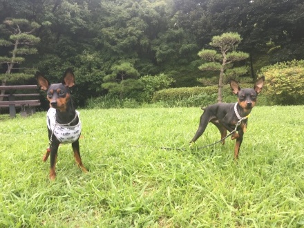 b0334654_07594338.jpeg