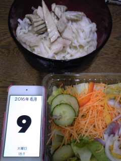 9日の食事夜写真_b0056758_18415110.jpg