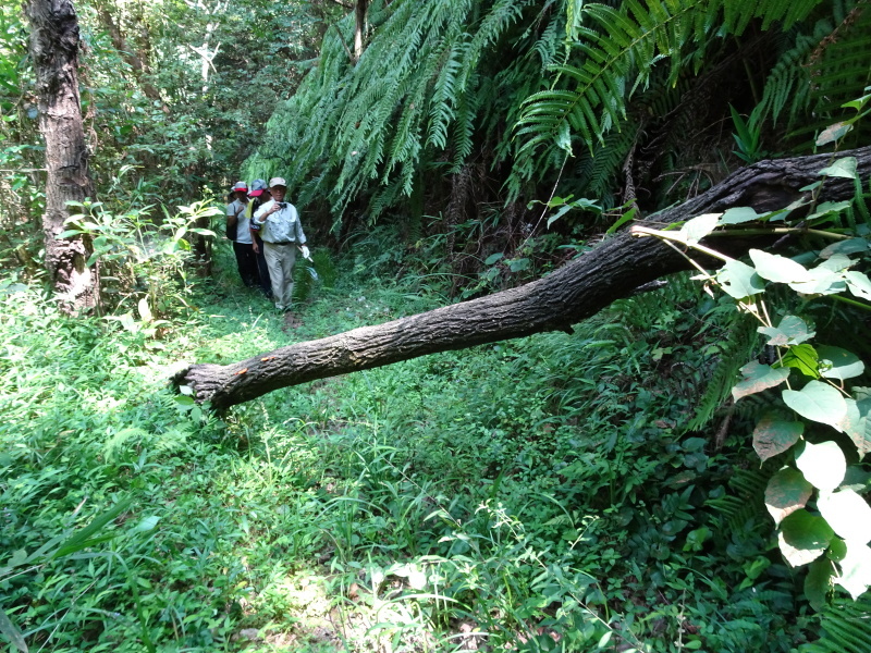 c0108460_22275102.jpg