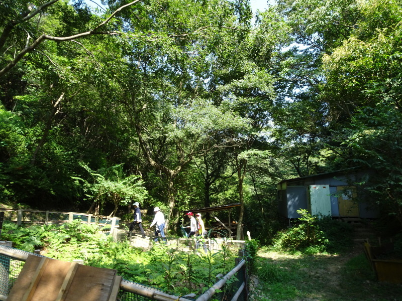 c0108460_22345025.jpg