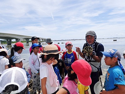 うらそえぐすく児童センターの観察会_c0180460_4523186.jpg