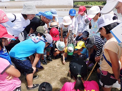 うらそえぐすく児童センターの観察会_c0180460_4531389.jpg