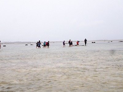 c0180460_54619.jpg