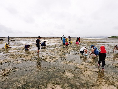 c0180460_571740.jpg