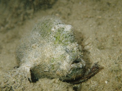 c0180460_584010.jpg