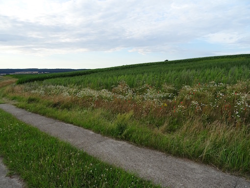 e0357367_0142282.jpg