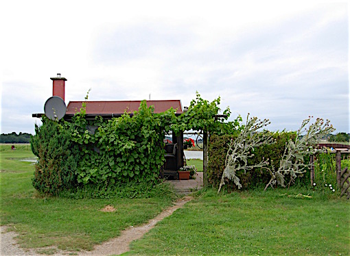 e0357367_08760.jpg
