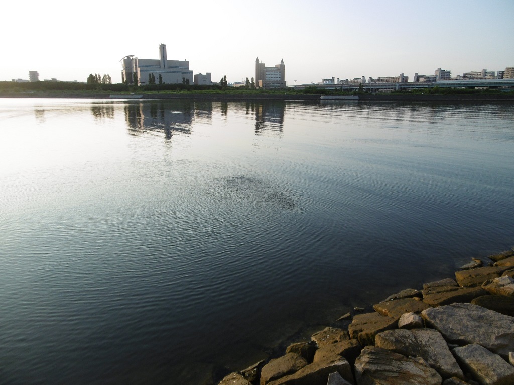 朝散歩が習慣に_f0205367_19150006.jpg