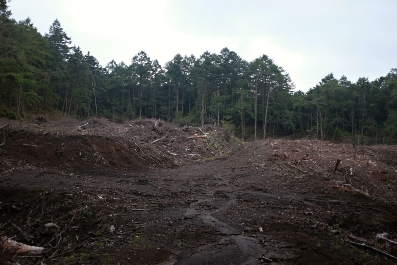 2016/08/07　富士山　船津口　滑沢　01_d0233770_21393434.jpg