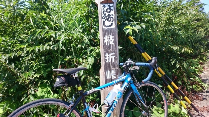f0157572_19352856.jpg