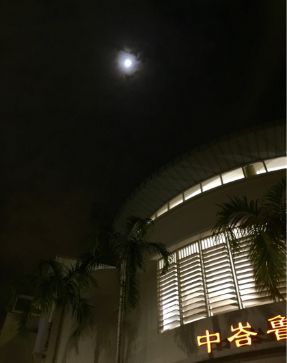 e0062977_17250927.jpg