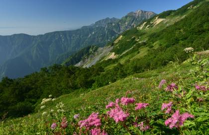 遠く五竜岳.....さらにその奥に二つのピークが特徴の鹿島槍ヶ岳...._b0194185_22453399.jpg