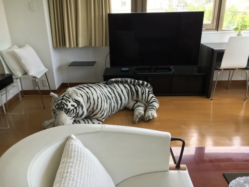 休息日_f0347891_21523959.jpeg