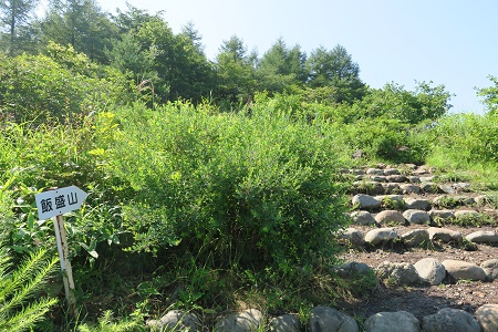 a0158702_12494688.jpg