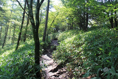 a0158702_1250027.jpg