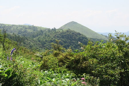 a0158702_12501316.jpg