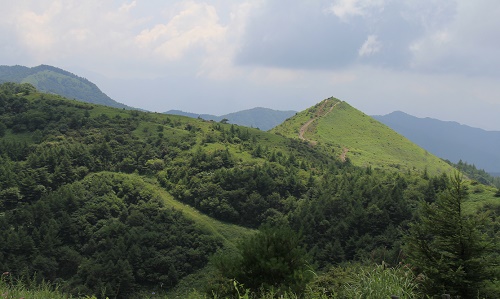 a0158702_12522794.jpg