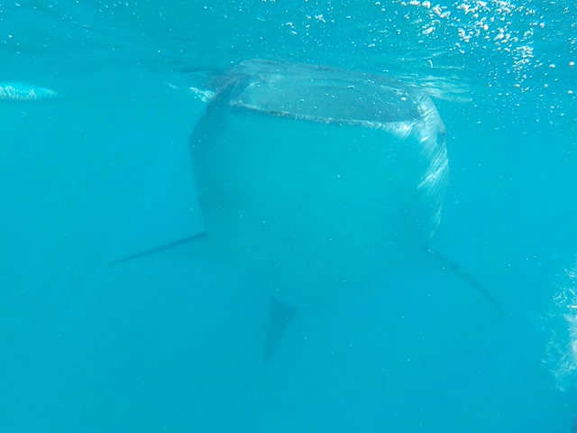 b0134702_21163456.jpg
