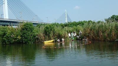 【ご報告】城北定例保全活動（9）_a0263106_09403710.jpg