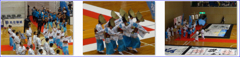 f0231709_23184571.gif
