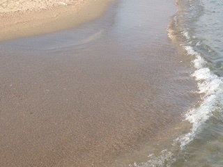 夏活 No.503_c0102513_19260706.jpg