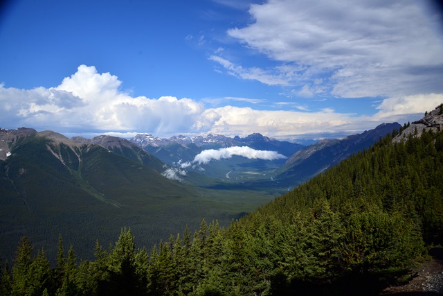 f0046614_1437761.jpg