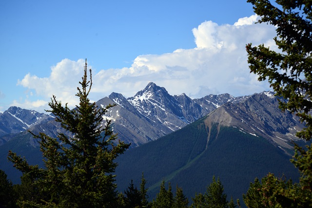 f0046614_14481298.jpg