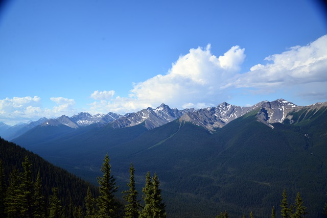 f0046614_14524987.jpg