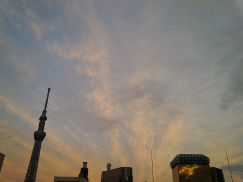 e0300616_12433010.jpg