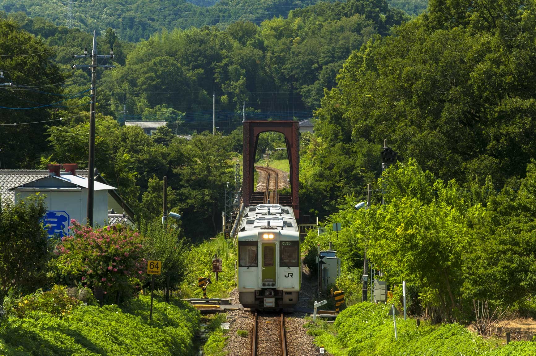 首都圏に残る非電化区間を撮る Railway Photographic