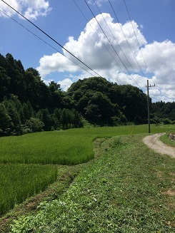 b0310922_13562029.jpg