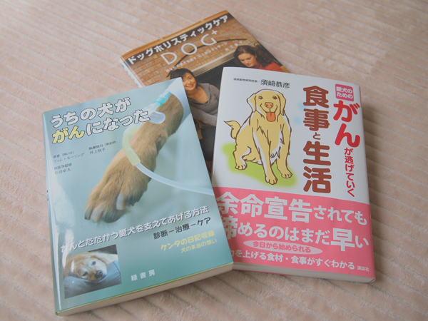 できることから。_f0227228_1629526.jpg