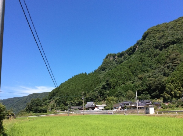 d0349130_16160170.jpeg
