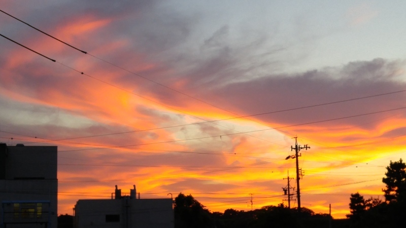 f0361132_21490320.jpg