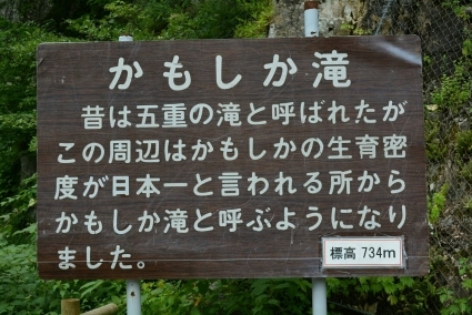 c0295742_12125524.jpg