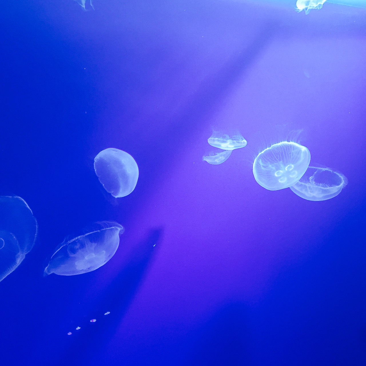 d0010742_09151109.jpg