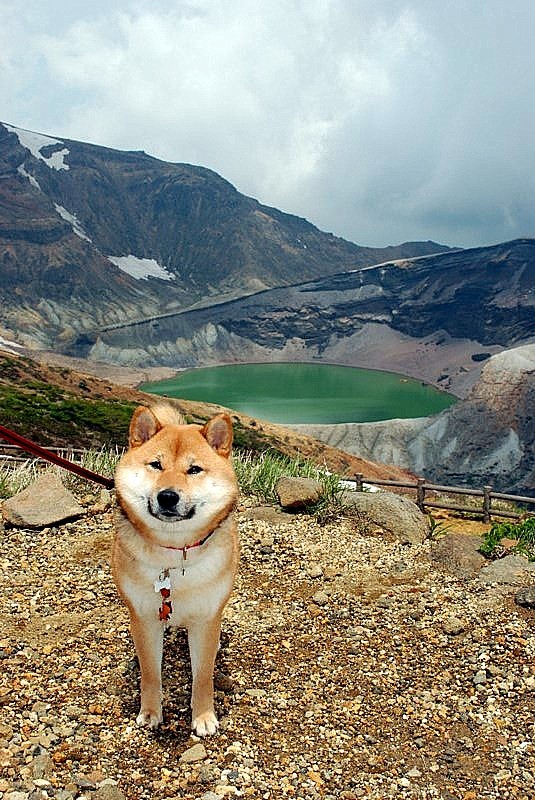 山の日_b0314043_21475827.jpg