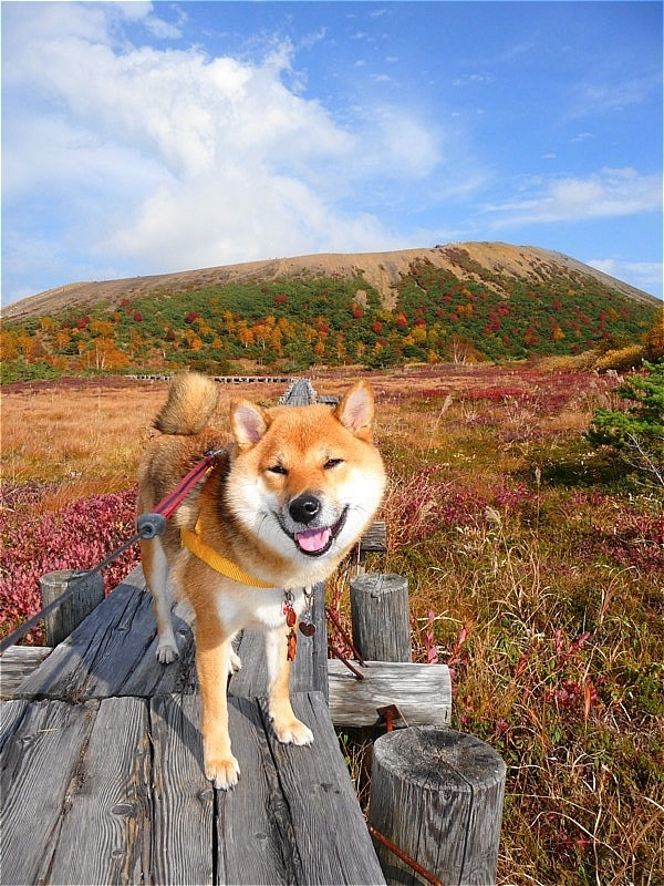 山の日_b0314043_22001973.jpg