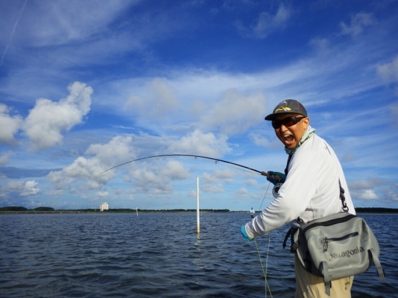 （浜名湖は熱々ですが、水温もヤバい）_f0055244_07135395.jpg