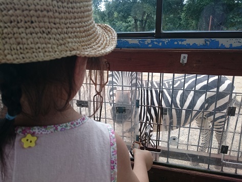 秋吉台自然動物公園サファリランド_c0185445_00390459.jpg