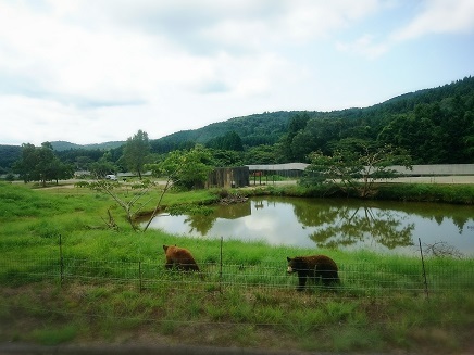 秋吉台自然動物公園サファリランド_c0185445_00391969.jpg