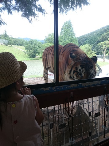 秋吉台自然動物公園サファリランド_c0185445_00392945.jpg